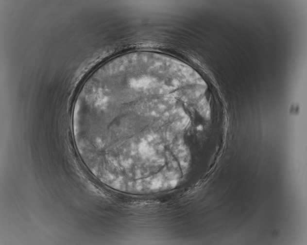 X0000115510721200912041101