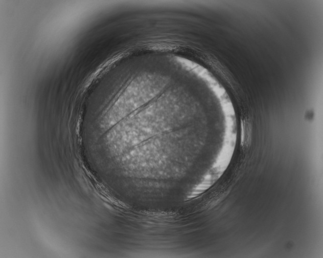 X0000115510723200912041101