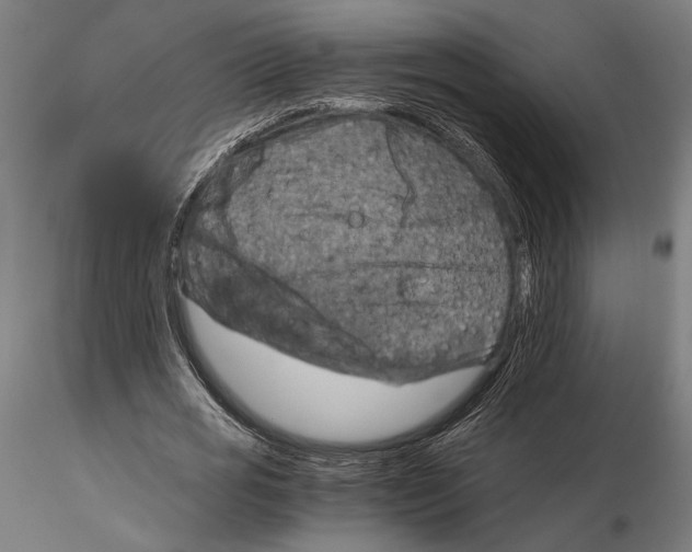 X0000115510725200912041101