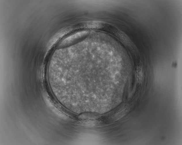 X0000115510726200912041101