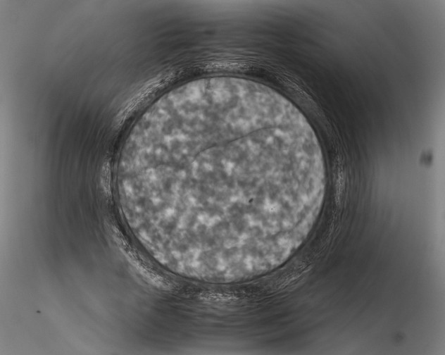 X0000115510729200912041101