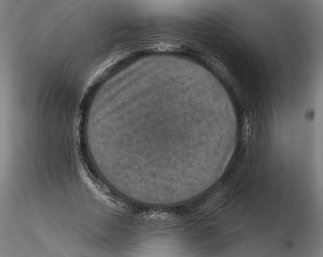 X0000115510730200912041101