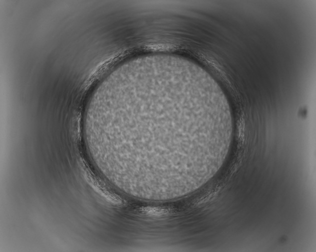 X0000115510733200912041101