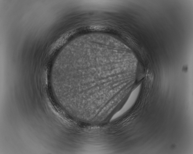 X0000115510734200912041101