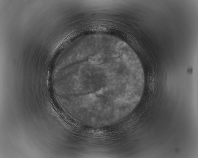 X0000115510735200912041101