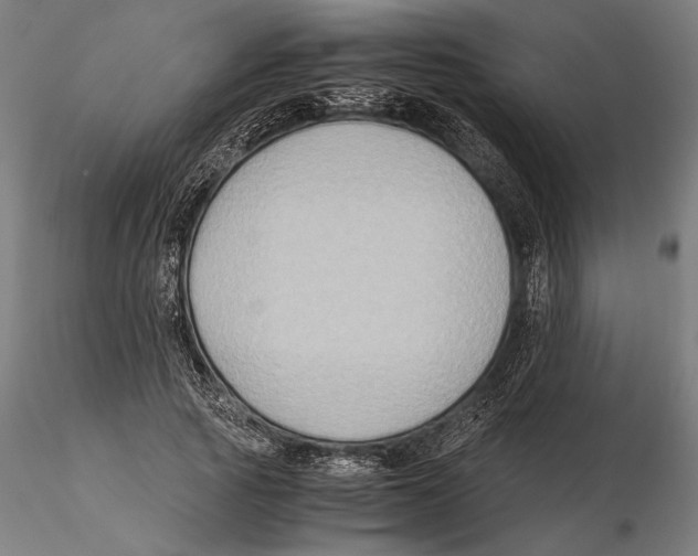 X0000115510737200912041101