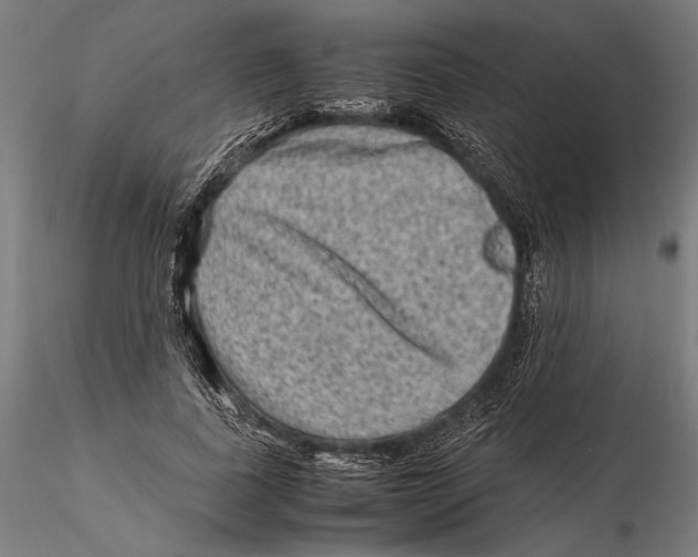 X0000115510739200912041101