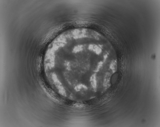 X0000115510742200912041101