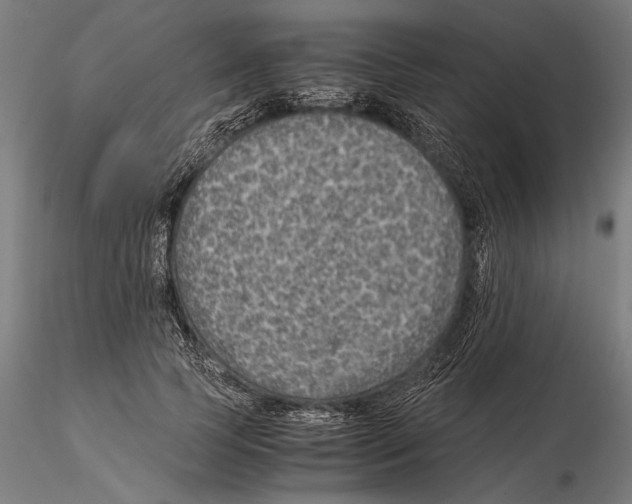 X0000115510745200912041101