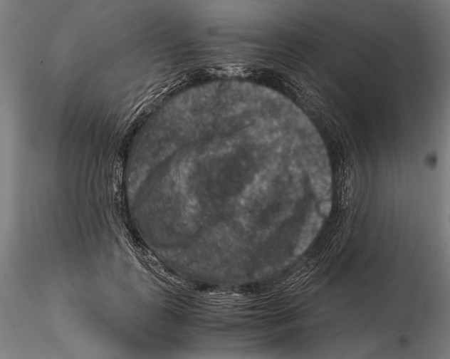 X0000115510747200912041101