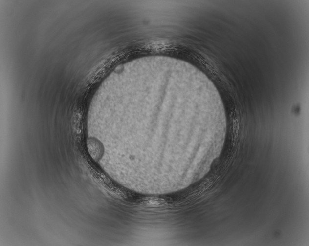 X0000115510750200912041101