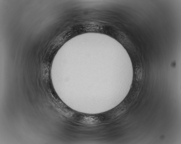 X0000115510753200912041101