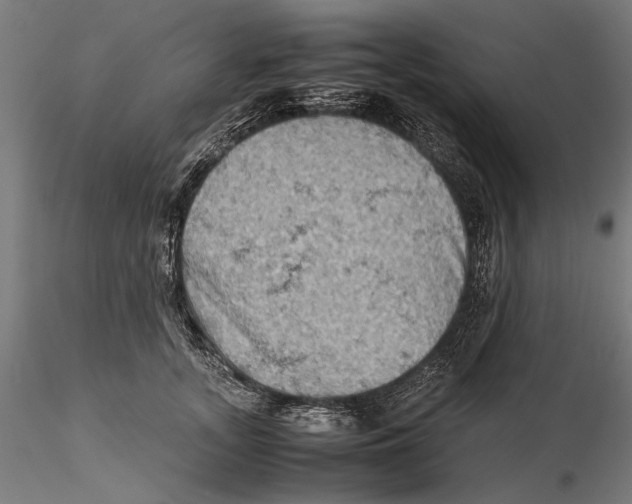 X0000115510755200912041101