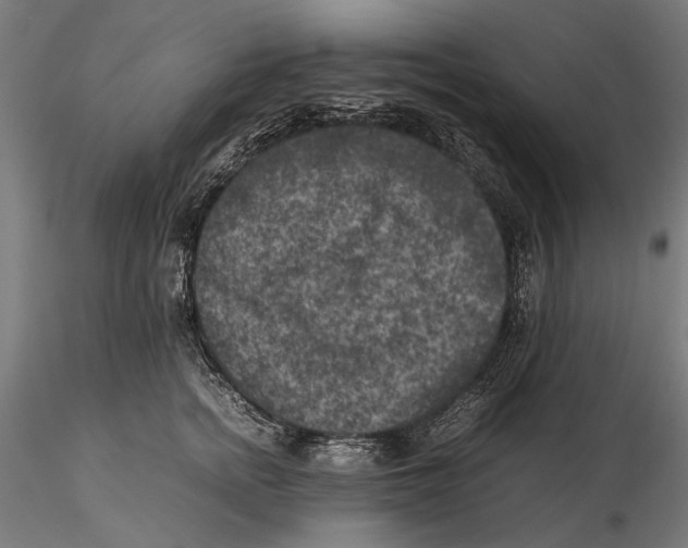 X0000115510758200912041101