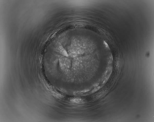 X0000115510759200912041102