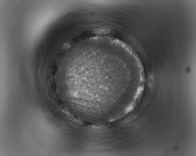 X0000115510763200912041102