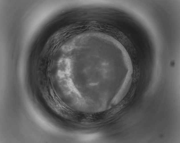 X0000115510765200912041102