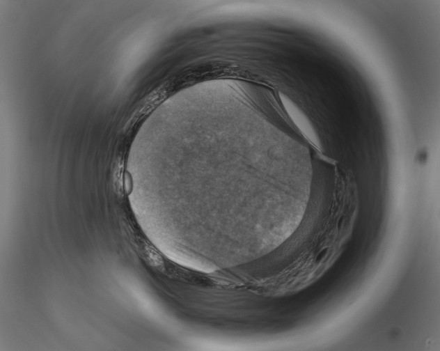 X0000115510766200912041102