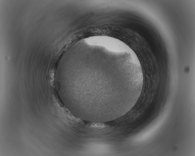 X0000115510767200912041102