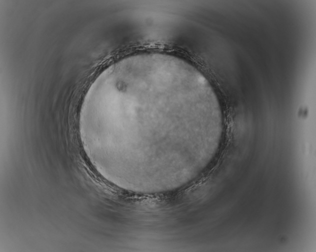 X0000115510769200912041101