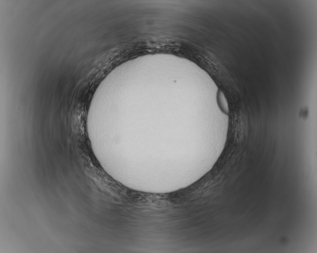 X0000115510770200912041101