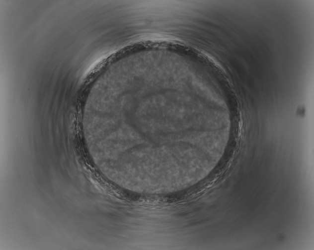 X0000115510775200912041101