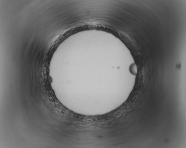 X0000115510776200912041101