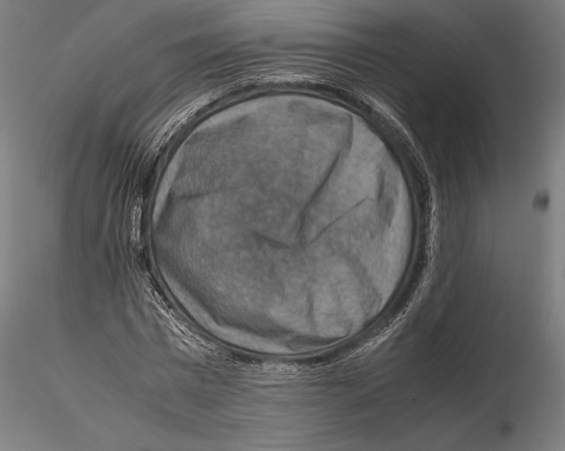 X0000115510777200912041101