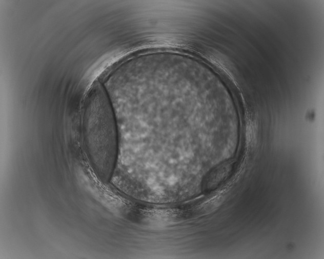 X0000115510781200912041101