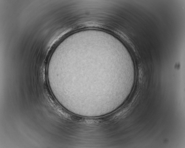 X0000115510782200912041101