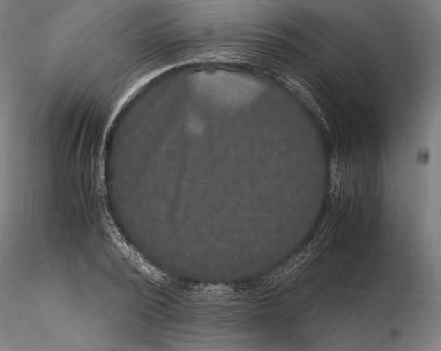 X0000115510784200912041101