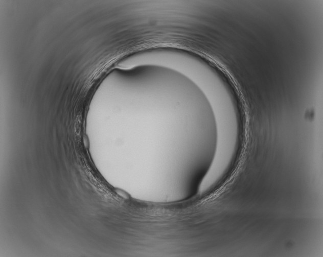 X0000115510785200912041101