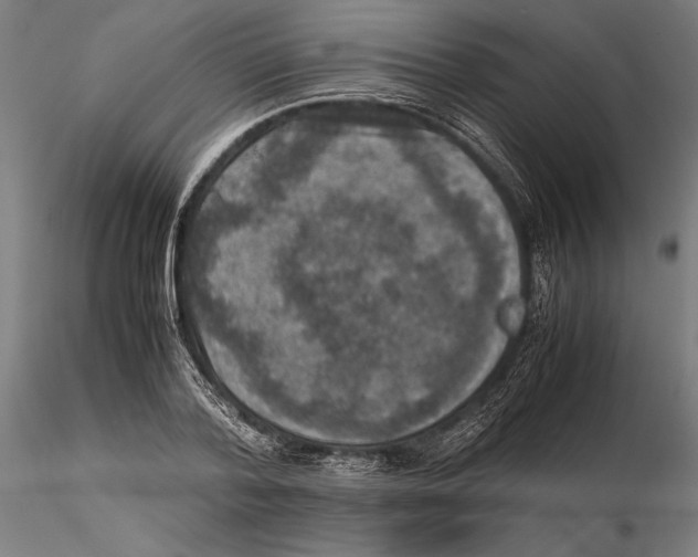 X0000115510788200912041101