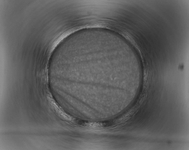 X0000115510789200912041101