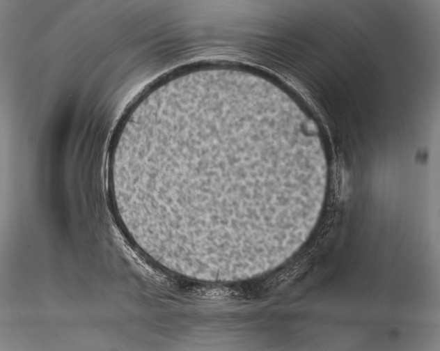 X0000115510791200912041101