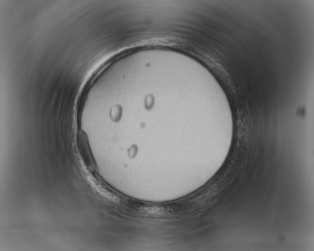 X0000115510792200912041101