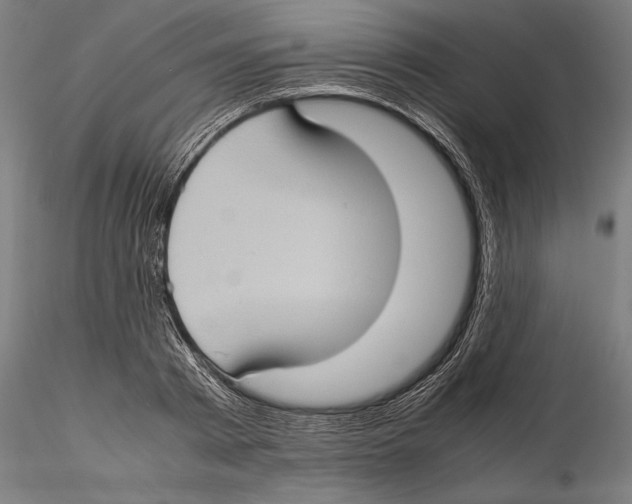 X0000115510793200912041101