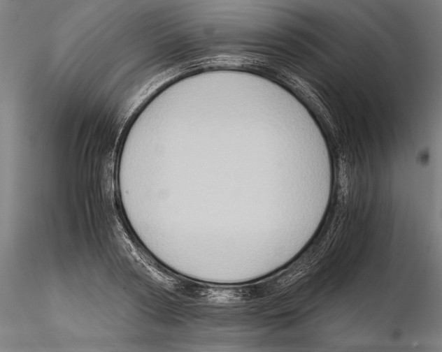 X0000115510794200912041101