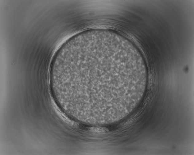 X0000115510795200912041101