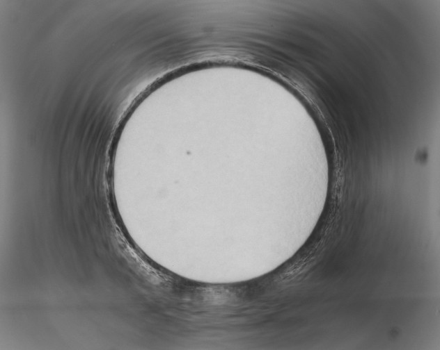 X0000115510799200912041100