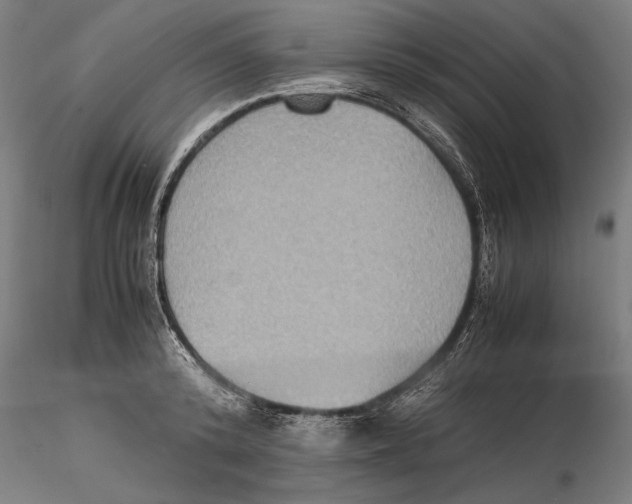 X0000115510800200912041100