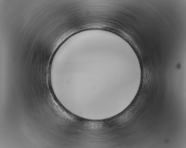 X0000115510802200912041100