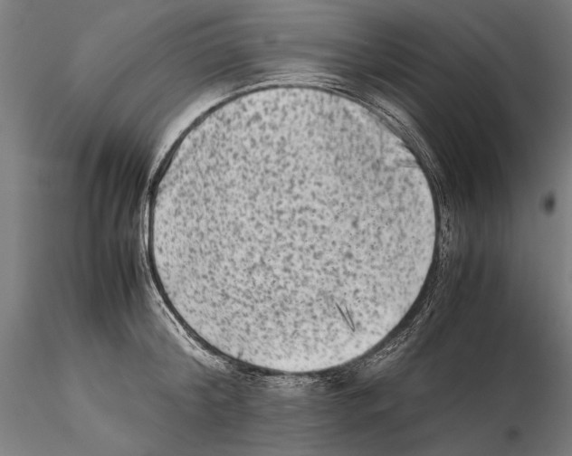 X0000115510804200912041100