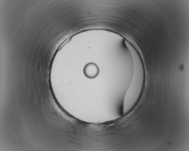 X0000115510805200912041100