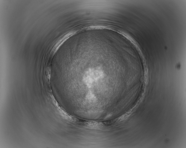 X0000115510809200912041100