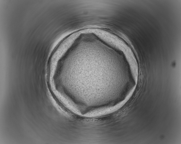 X0000115510811200912041100