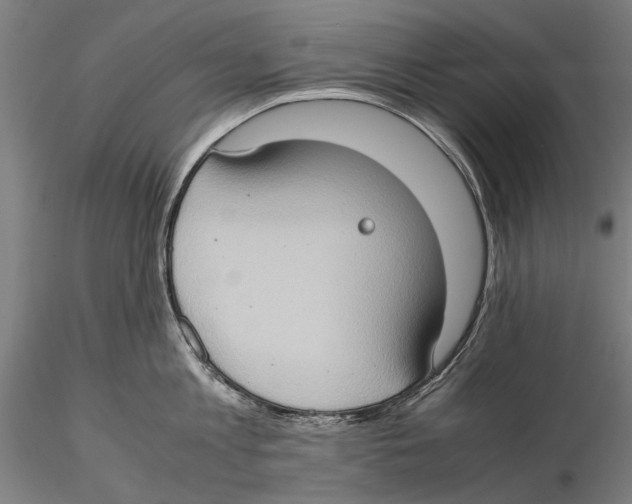 X0000115510813200912041100