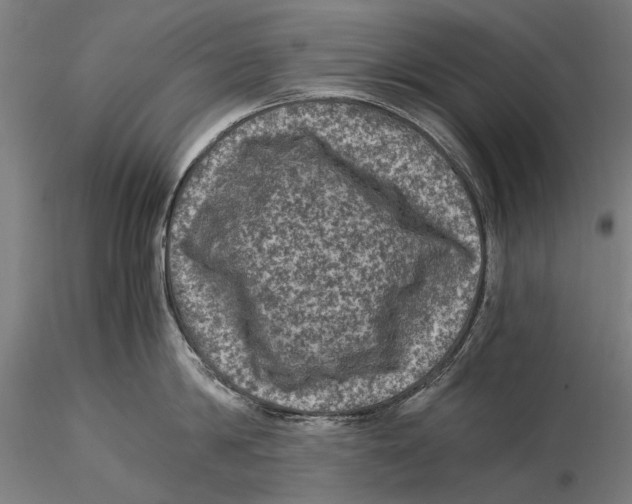 X0000115510814200912041100