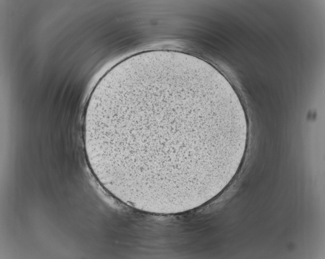 X0000115510816200912041100