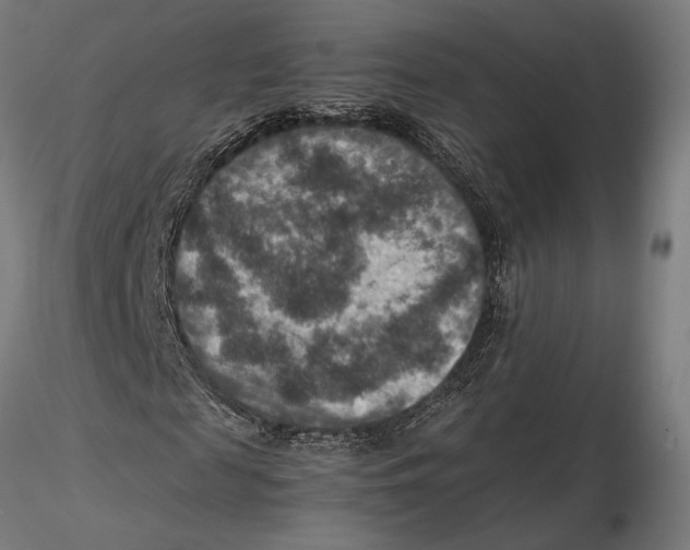 X0000115510817200912041100